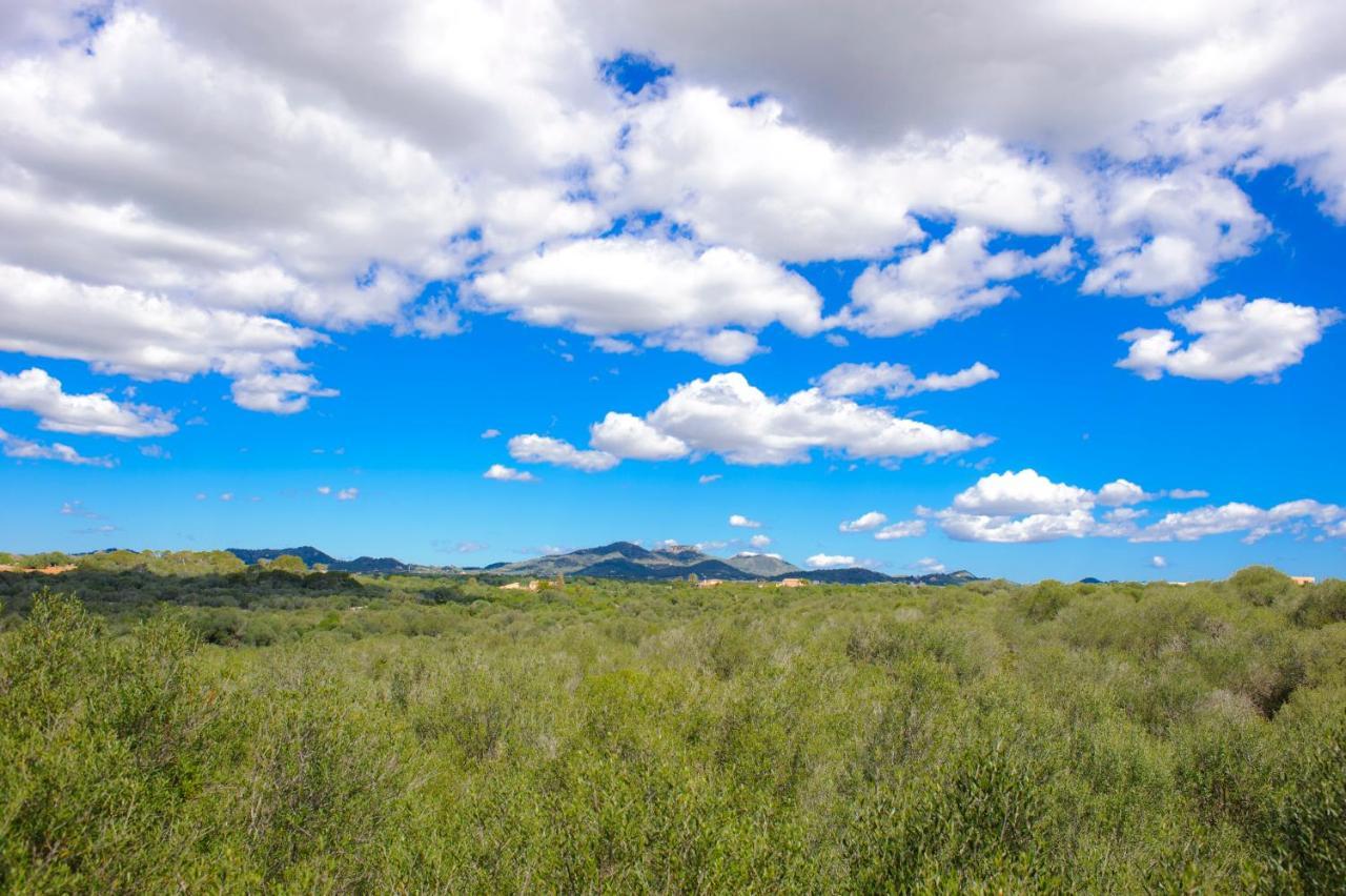 Finca Pleta De Sa Punta Portopetro エクステリア 写真